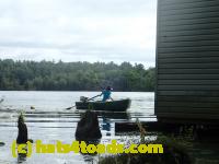 /home//u458753944/public_html/sourcegallery////Frogs/Bullfrogs 2016-08 Ontario/P8140098.JPG